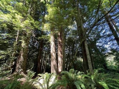 Incredible opportunity to purchase 3.7 acres of river frontage - photo 27