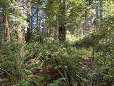 Incredible opportunity to purchase 3.7 acres of river frontage - photo 30