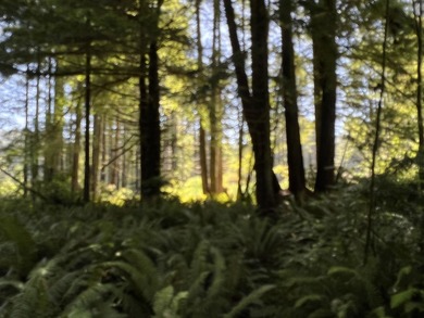 Incredible opportunity to purchase 3.7 acres of river frontage - photo 33