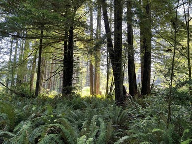 Incredible opportunity to purchase 3.7 acres of river frontage - photo 34