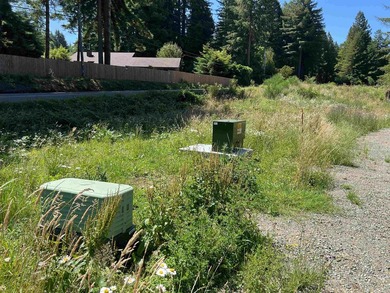 Incredible opportunity to purchase 3.7 acres of river frontage - photo 39