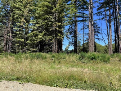 Incredible opportunity to purchase 3.7 acres of river frontage - photo 41