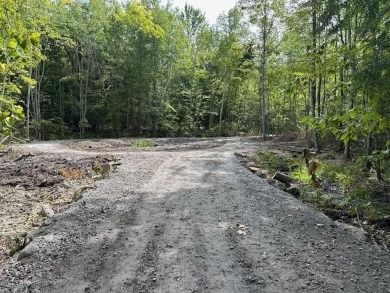 Sebago Lake Lot For Sale in Frye Island Maine