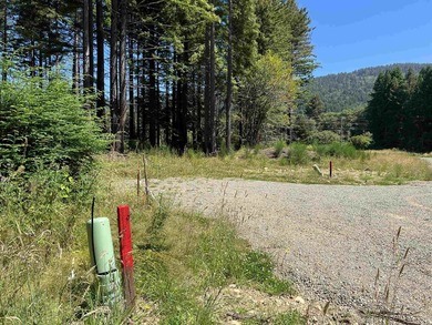 Incredible opportunity to purchase 3.7 acres of river frontage - photo 44