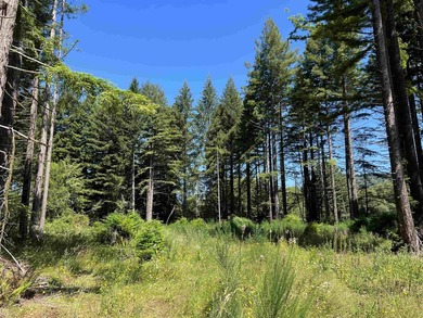 Incredible opportunity to purchase 3.7 acres of river frontage - photo 45