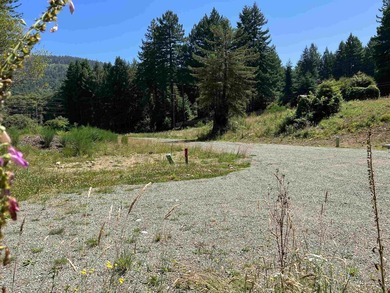 Incredible opportunity to purchase 3.7 acres of river frontage - photo 46