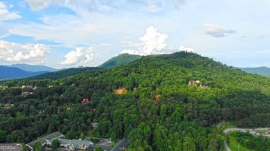 Welcome to lot 1 in Whiskey Mountain Estates, where unparalleled - photo 8