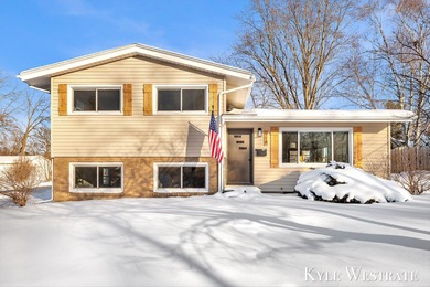Flat River - Kent County Home Sale Pending in Belding Michigan
