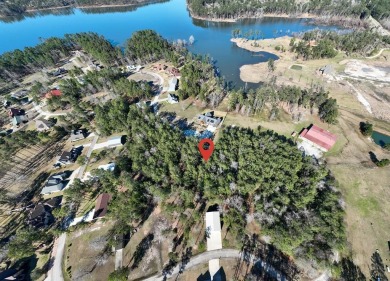 Lake Lot For Sale in Brookeland, Texas