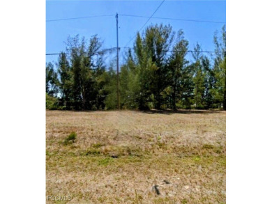 Cape Coral Lakes Area Lot For Sale in Cape Coral Florida