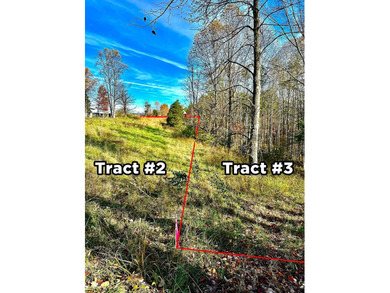 12.34 Acres of wooded hillside with small pond, tall and - photo 2