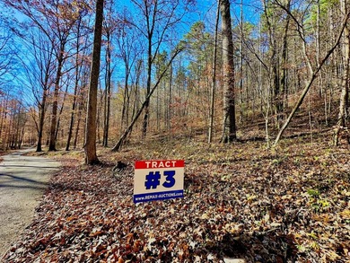 12.34 Acres of wooded hillside with small pond, tall and - photo 4