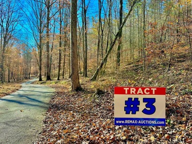 12.34 Acres of wooded hillside with small pond, tall and - photo 6