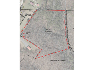 12.34 Acres of wooded hillside with small pond, tall and - photo 8
