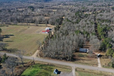 Lake Dardanelle Acreage For Sale in Delaware Arkansas