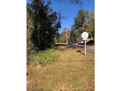 Beautiful corner lot with large established live oak and water - photo 2