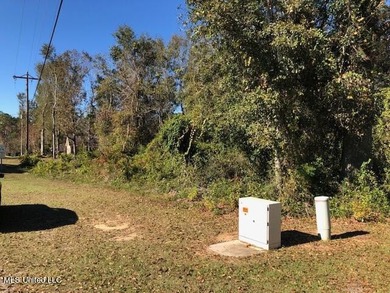 Beautiful corner lot with large established live oak and water - photo 3
