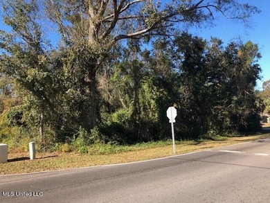 Beautiful corner lot with large established live oak and water - photo 4