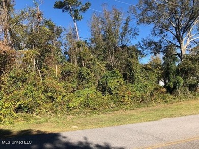 Beautiful corner lot with large established live oak and water - photo 7