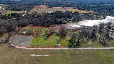Lake Lot For Sale in Mineola, Texas