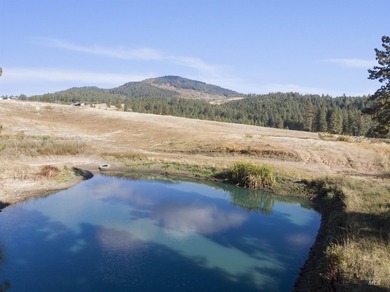 Are you ready for your own slice of Idaho with gorgeous views - photo 12