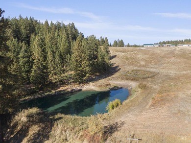 Are you ready for your own slice of Idaho with gorgeous views - photo 13