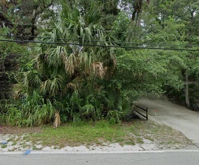 Great piece of land in quiet and peaceful Deltona. Close to I-4 - photo 14