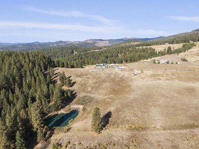 Are you ready for your own slice of Idaho with gorgeous views - photo 15