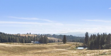Are you ready for your own slice of Idaho with gorgeous views - photo 17