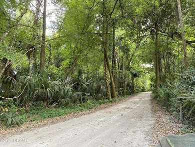 Great piece of land in quiet and peaceful Deltona. Close to I-4 - photo 17