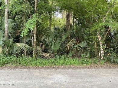 Great piece of land in quiet and peaceful Deltona. Close to I-4 - photo 18