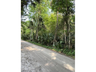 Great piece of land in quiet and peaceful Deltona. Close to I-4 - photo 19