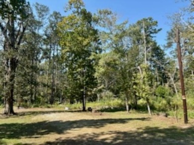 Lake Lot For Sale in Brookeland, Texas