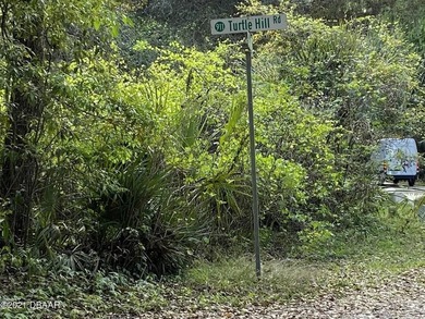 Great piece of land in quiet and peaceful Deltona. Close to I-4 - photo 21