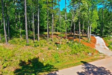 Beautiful large waterfront lot with lots of hardwoods and - photo 5