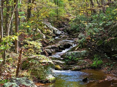 Lake Acreage For Sale in Penhook, Virginia