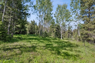 Lake Acreage For Sale in Anaconda, Montana