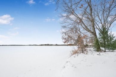 Lake Lot Sale Pending in Evart, Michigan