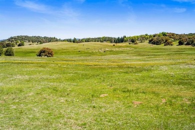 3510 Deer Lake Park Rd - photo 11