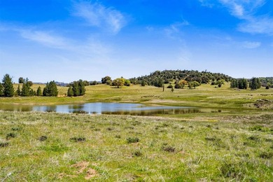 3510 Deer Lake Park Rd - photo 12