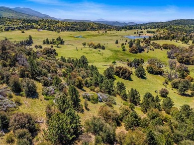 3510 Deer Lake Park Rd - photo 15