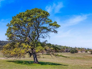 3510 Deer Lake Park Rd - photo 22