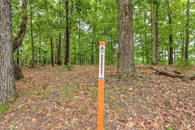 MOTIVATED SELLER! $20,000 PRICE IMPROVEMENT! Owner Financing - photo 34