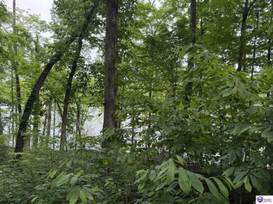 Lake Lot For Sale in Bee Spring, Kentucky
