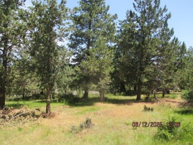 Upper Klamath Lake Lot For Sale in Klamath Falls Oregon