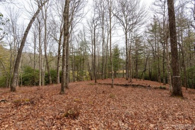  Lot For Sale in Glenville North Carolina