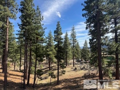 Lake Tahoe - Douglas County Lot For Sale in Carson City Nevada