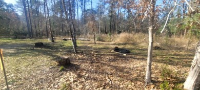 Lake Lot For Sale in Brookeland, Texas