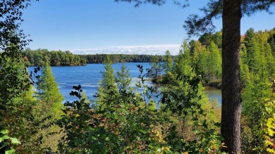 Pokegama Lake - Vilas County Acreage For Sale in Lac Du Flambeau Wisconsin