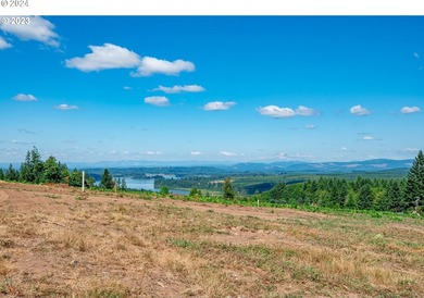 Introducing Delta Vista Community, which features a stunning new - photo 11